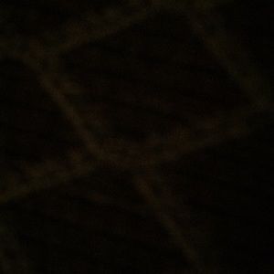 Meet your Posher, Lemon